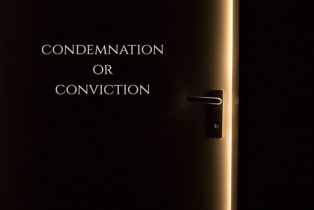 You are currently viewing Convicted or Condemned?